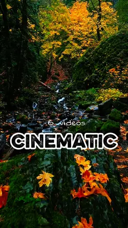8 videos cinematic
