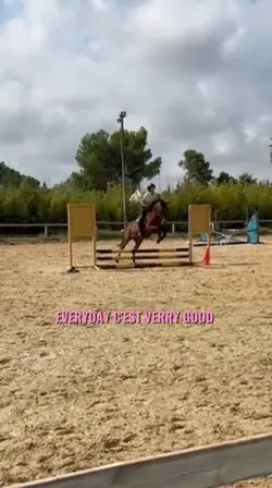 EVERYDAY VERRY GOOD