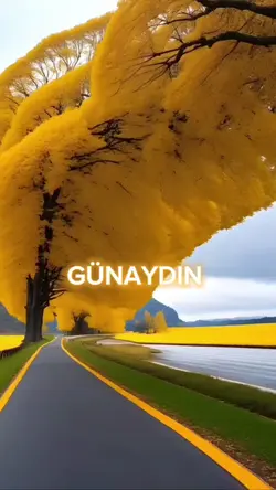 GÜNAYDIN