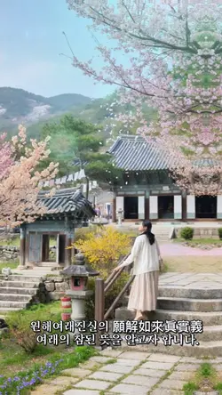 금강경성진스님독송