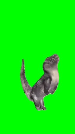 Crocodile Dancing