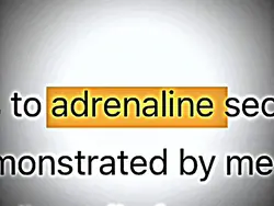 1 VS Sq=Adrenaline 