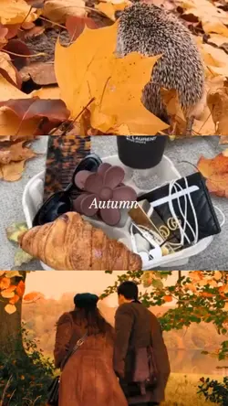 autumn