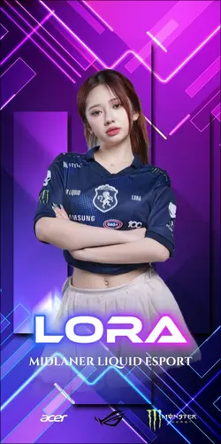 intro player