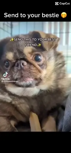 Send to ur bestie