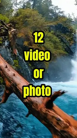 12 video or photo 