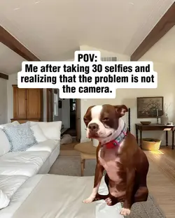 Not the Camera