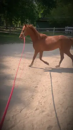 1 of conrad’s babie