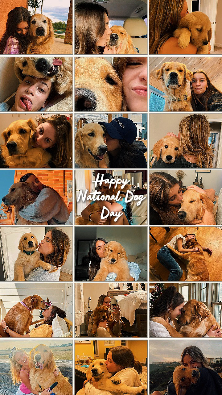 national dog day