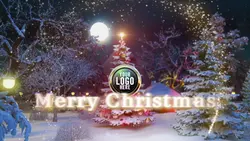 Christmas New Yea