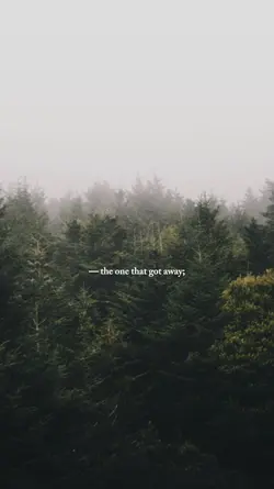 theone that got away