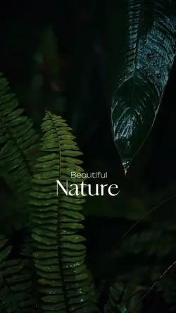 Beautiful nature 