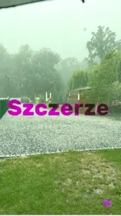 Szczera piosenka