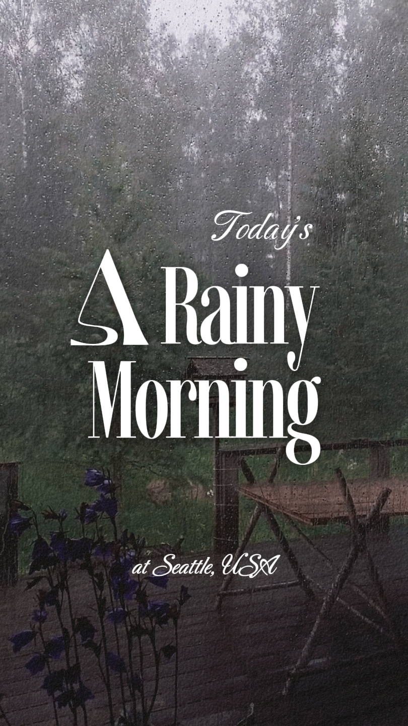 Rainy Morning