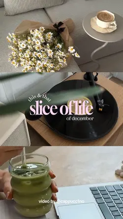 SLICE OF LIFE