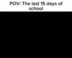 Last 15 days