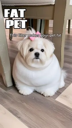 FAT PET