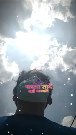 गाजले सुनचरी