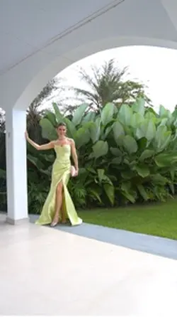 Vestido de festa 