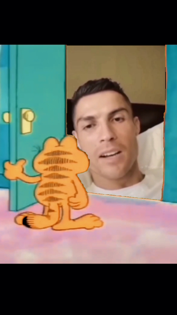 garfield