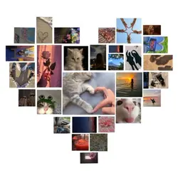 Heart with 29 pics