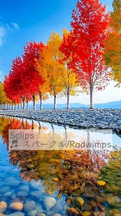 紅葉×スパークル