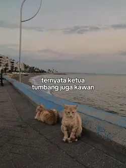 tumbang kawan