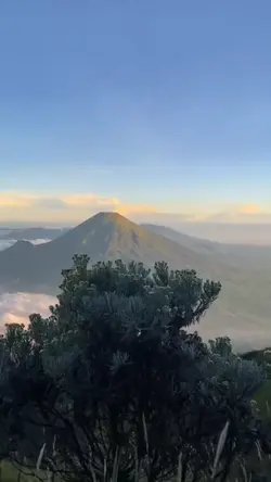 1 VIDEO 4 PHOTO
