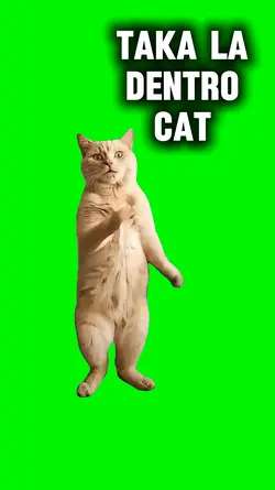 TAKA LA CATO