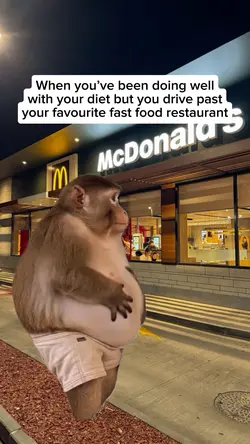 Monkey Diet Meme
