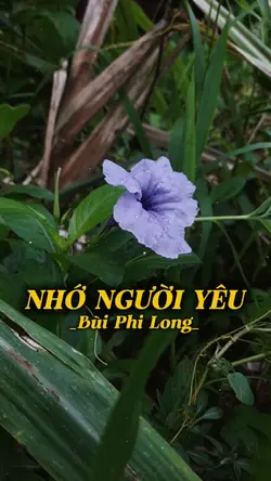 NHỚ NGƯỜI YÊU