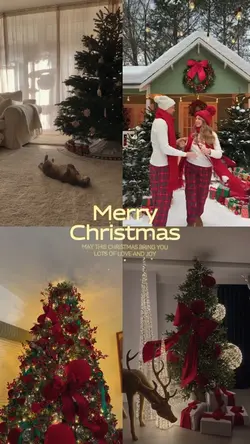 🎄Christmas dump⭐️❄️