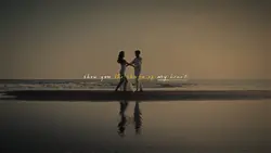 Shape of my heart