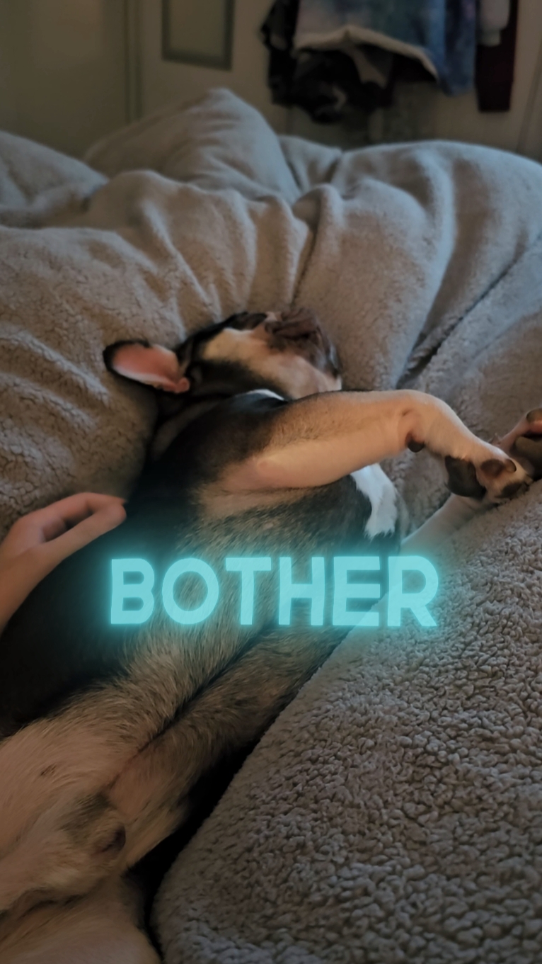 나는 오늘 침대에 있다 