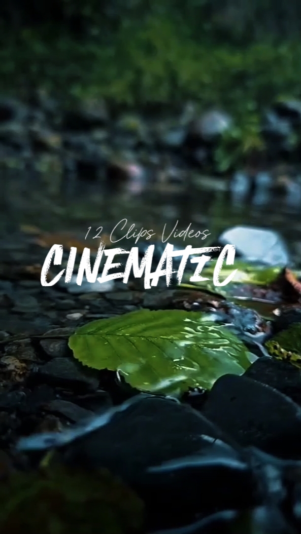 12 Clips cinematic 
