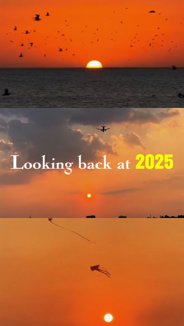 Looking Back at 2025