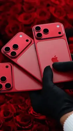 Divulgação negócio 