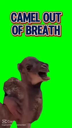 Out of Breath