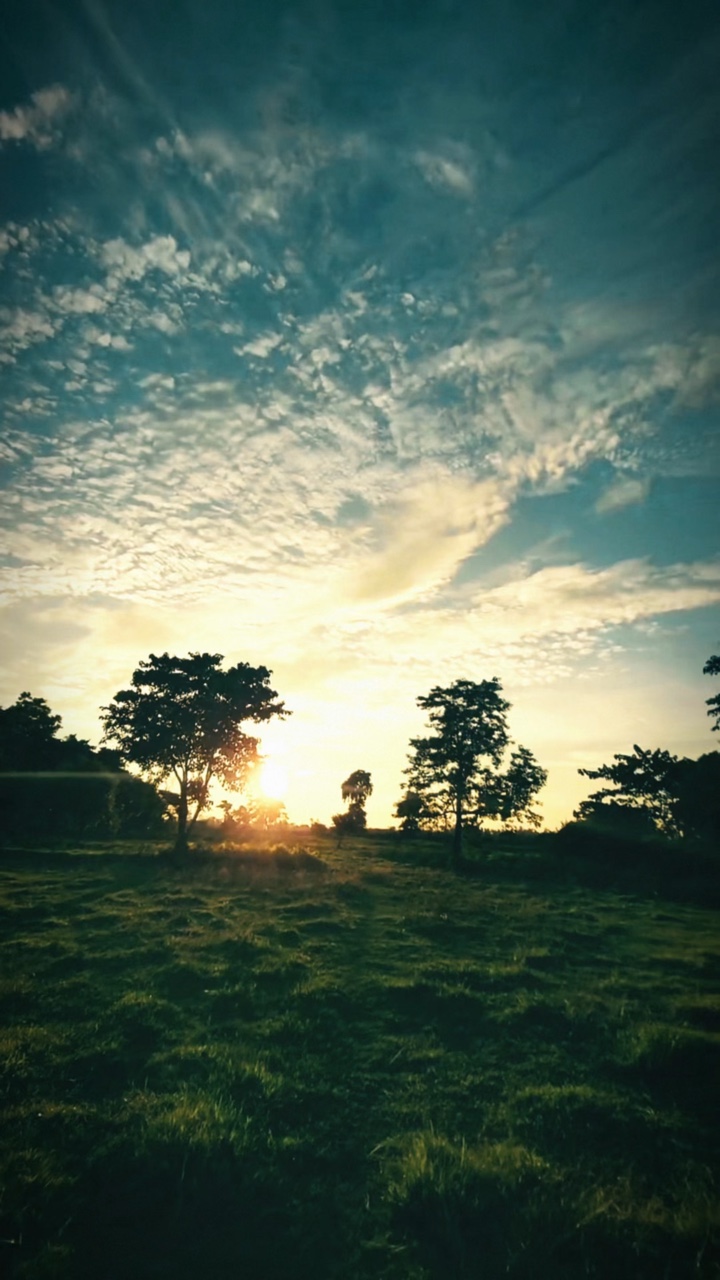 Natur