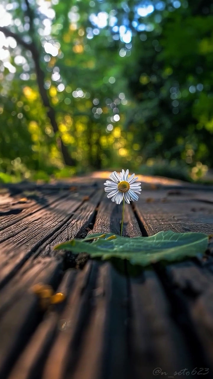 7 Clips Cinematic 