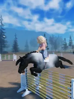 TH BAY HARPER BUTCHE