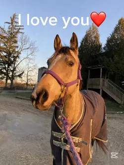 I love you