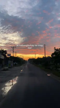 sino multo 