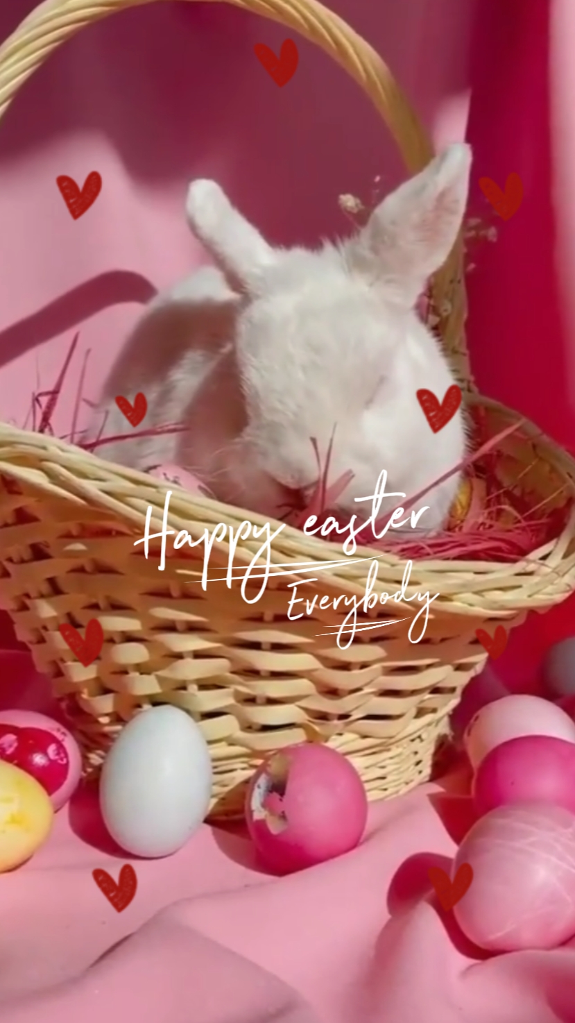Felices Pascuas