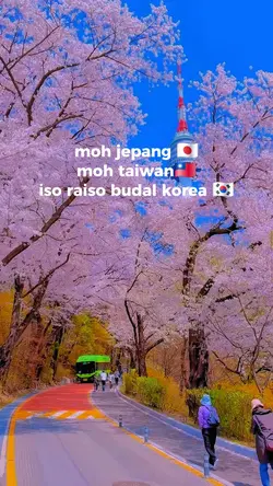 iso raiso korea
