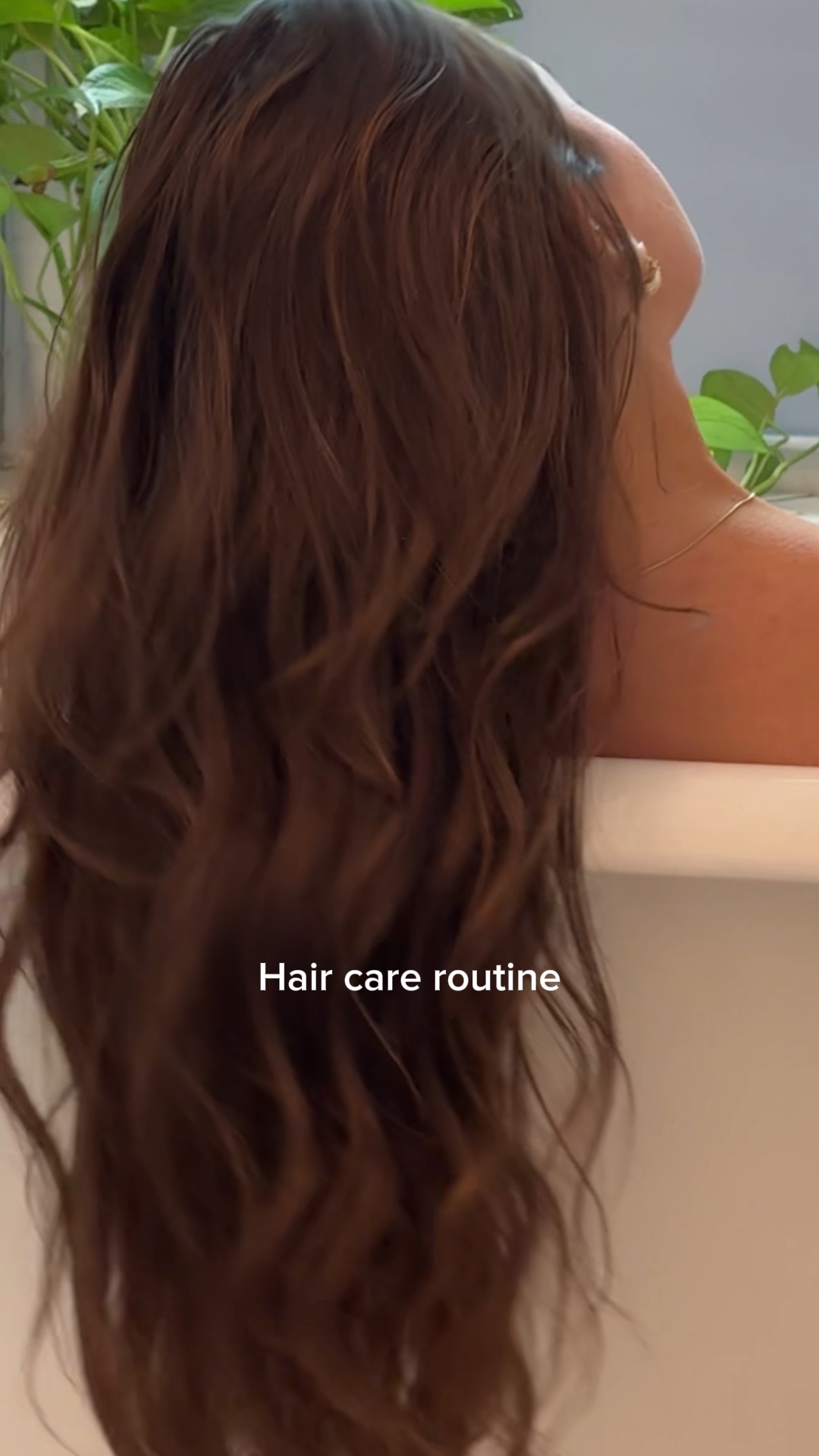 Plantilla de cabello de verano