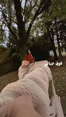فوق جبالي