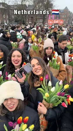 Netherlands Vlog