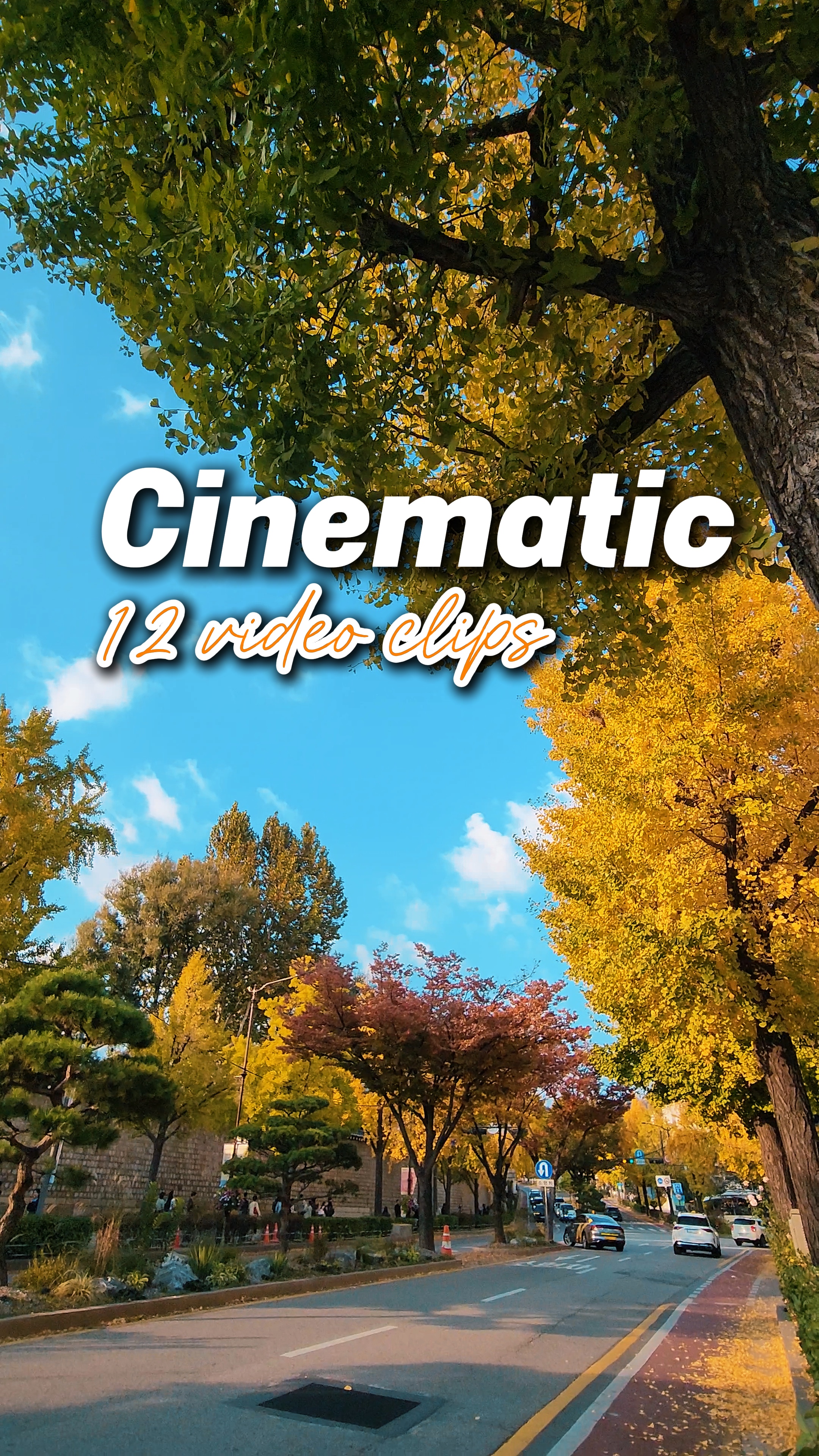 Cinematic 12 clips