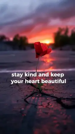 Stay Kind 